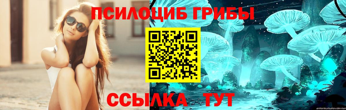 Псилоцибиновые грибы GOLDEN TEACHER  Вход с VPN  Россия 