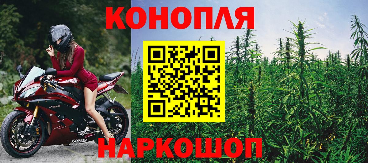 Бошки марихуана гибрид Россия